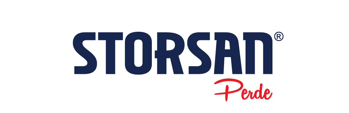 Storsan Logo 3